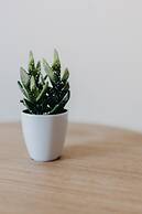 Best House Nirvana Patra