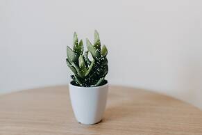 Best House Nirvana Patra