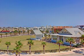 Cinnamon Shore- Porter Ansas TC 3302