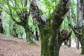 Natyral Razma Resort