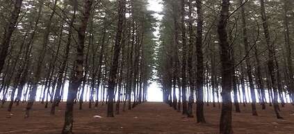 H Elite Design Hotel