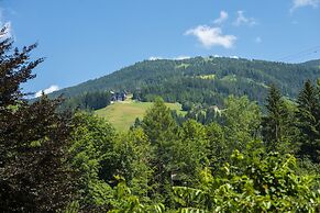 Chalet Dorf Wagrain Alpenleben