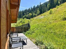 Chalet Dorf Wagrain Alpenleben