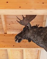 Chalet Dorf Wagrain Alpenleben
