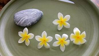 Xi Tou in Sunny Day Inn