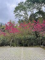 Xi Tou in Sunny Day Inn