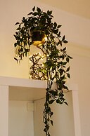 Adventure Guesthouse