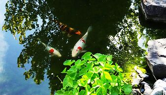 Adventure Guesthouse