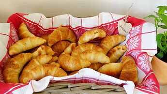 Adventure Guesthouse