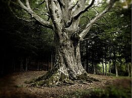 La locanda del Borgo