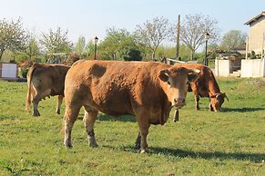 Agroturismo La Casa Vieja