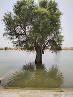 The Secret House - Adults Only