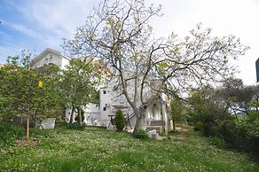 Guest House Vojinovic