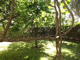 Three Bedroom Apartment With Garden