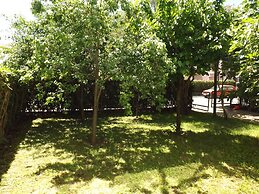 Three Bedroom Apartment With Garden