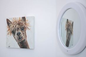 11 College Place North