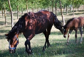 Agriturismo Fonte Abellana
