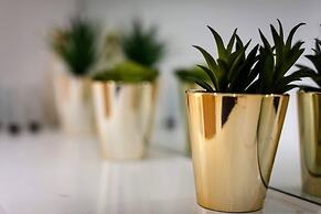 Warm and Welcoming Apartments