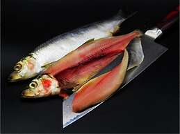 Haus Vergißmeinnicht