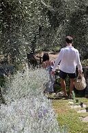 Luxury 6-bed Tuscan Villa Near Lucca and Florence