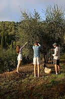 Luxury 6-bed Tuscan Villa Near Lucca and Florence