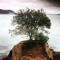 Westcroft Guesthouse