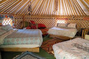 Hapus Yurt - Two Beautiful Yurts and Barn Cottage