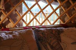 Hapus Yurt - Two Beautiful Yurts and Barn Cottage
