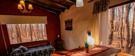 Cabañas en Malargue