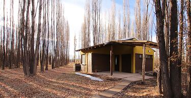Cabañas en Malargue