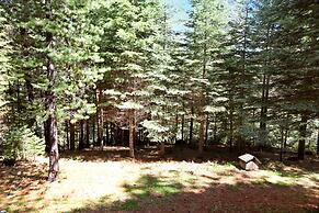 Yosemite Scenic Wonders - Fish Camp Area