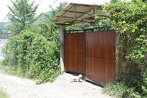Casa Hospedaje Tingo Maria