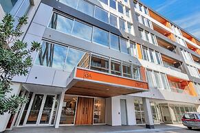 Spacious Mt Eden Apartment