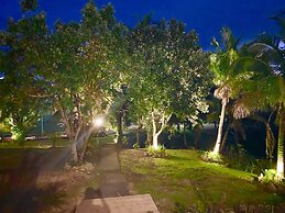 The Williamson House