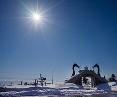 Sunflower Park Hotel Hokuryu Onsen