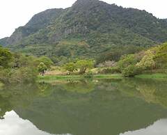 Vineyard Guest House