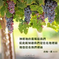 Vineyard Guest House