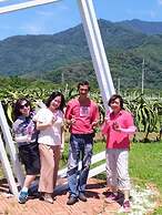 Vineyard Guest House