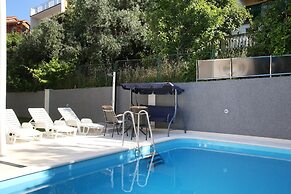 Luxury house with pool near the sea