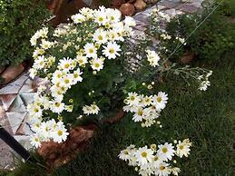 Maison D'Hotes Ait Bou Izryanne