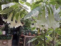 Maison D'Hotes Ait Bou Izryanne