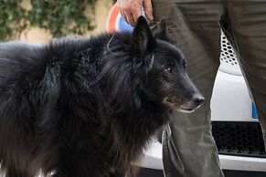 Relais Villa Gandoli