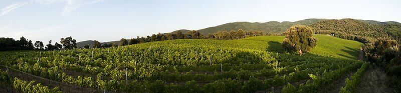 Agriturismo Villa Borgeri