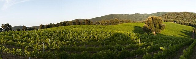 Agriturismo Villa Borgeri