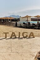 TAIGA Almeria Playa