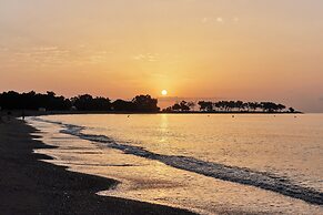 TAIGA Almeria Playa