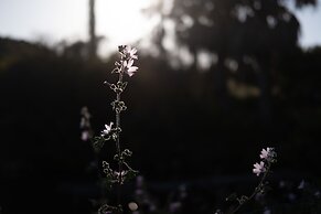 Quinta do Mar - Country & Sea Village