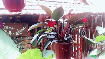 Queen Ponaland Homestay