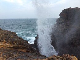 Nest Residence - Hostel