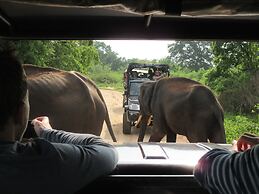 Nest Residence - Hostel